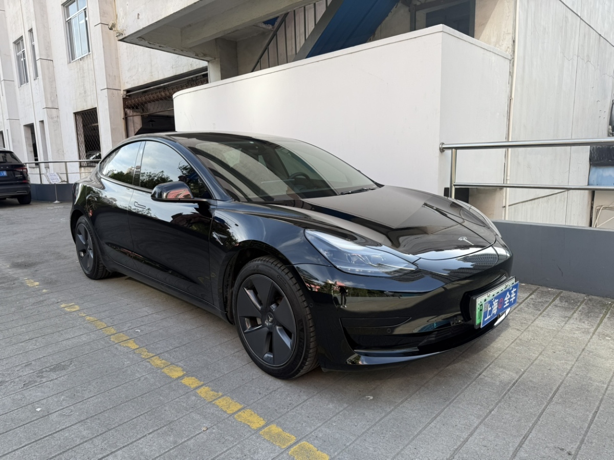 2021年06月特斯拉 Model 3  2019款 標準續(xù)航后驅(qū)升級版