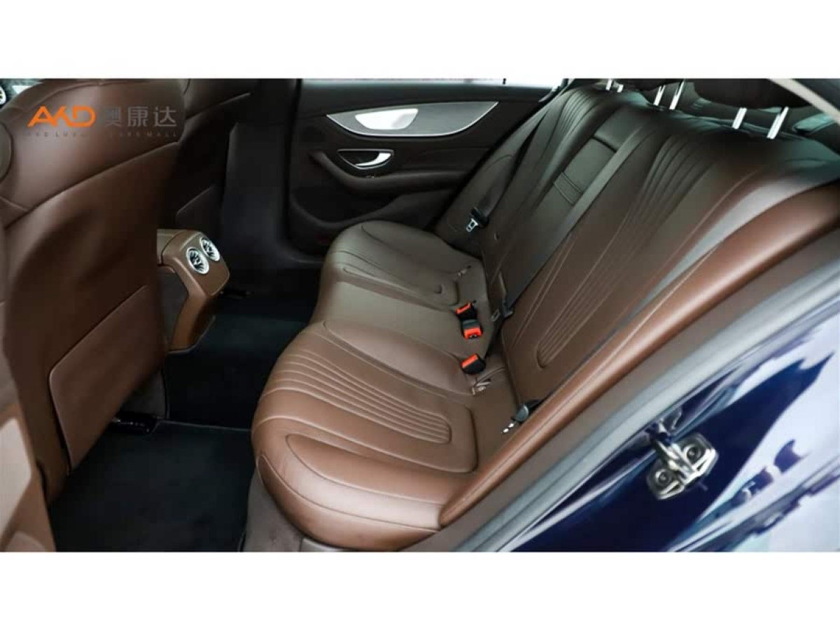奔馳 奔馳CLS級(jí)  2021款 改款 CLS 300 豪華型圖片