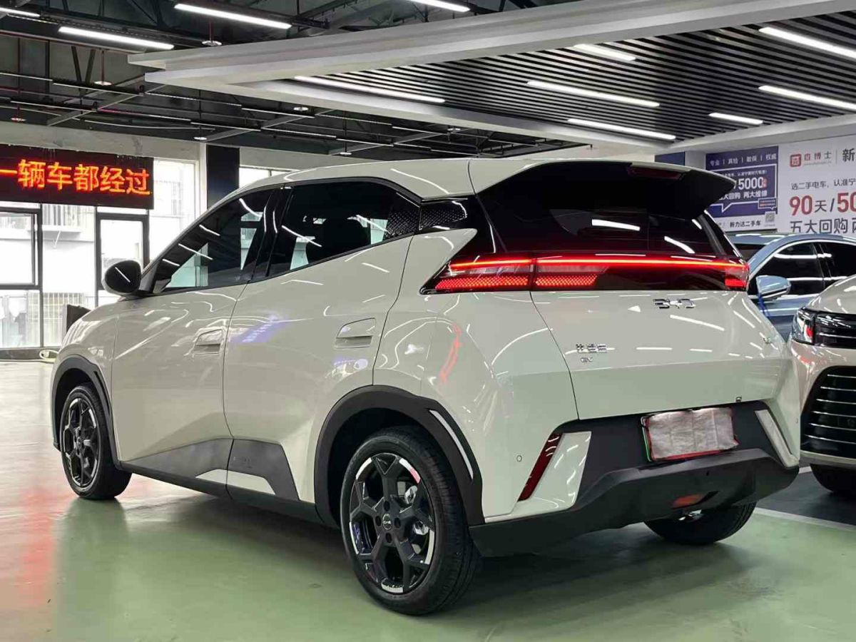 比亞迪 宋L  2024款 550km 卓越型圖片