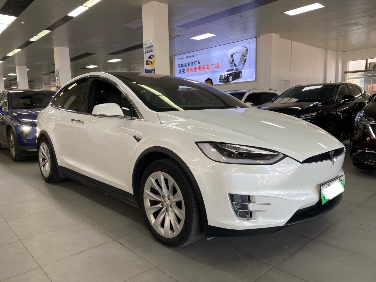 特斯拉 Model X  2016款 Model X 75D圖片