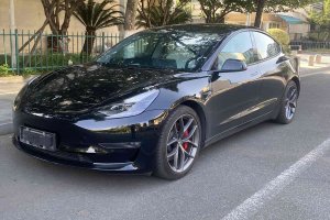 Model 3 特斯拉 Performance高性能全輪驅(qū)動(dòng)版 3D6