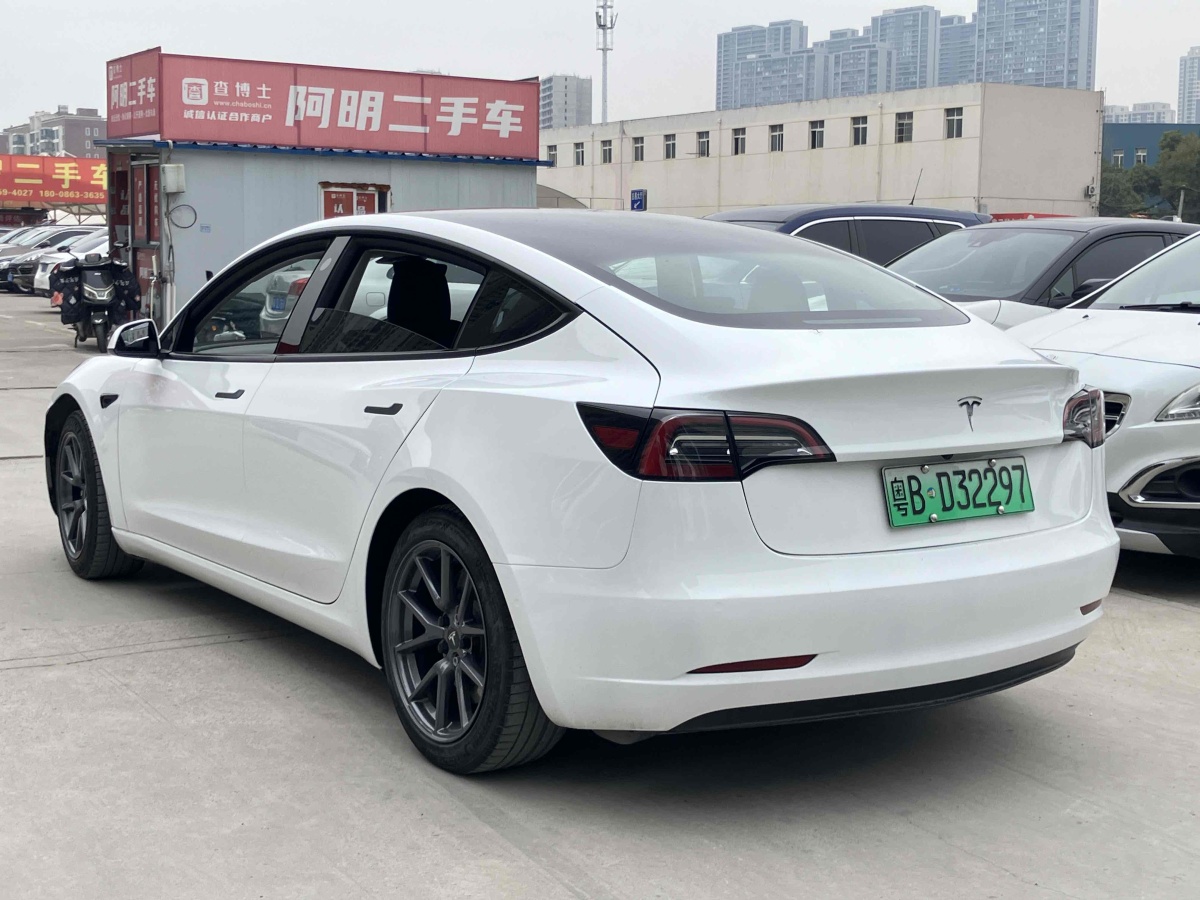 特斯拉 Model 3  2021款 標(biāo)準(zhǔn)續(xù)航后驅(qū)升級(jí)版 3D6圖片