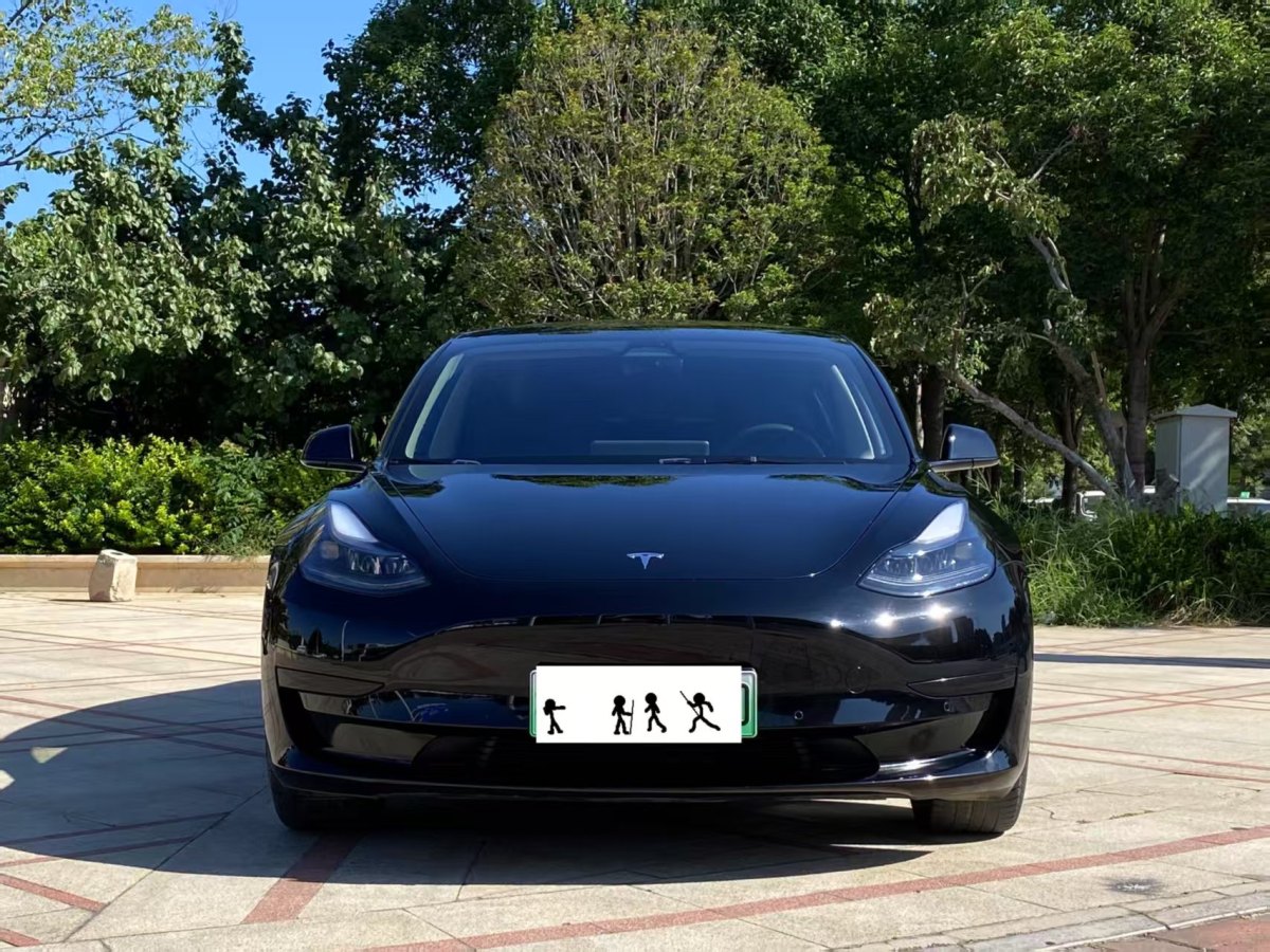 特斯拉 Model 3  2020款 改款 標(biāo)準(zhǔn)續(xù)航后驅(qū)升級(jí)版圖片