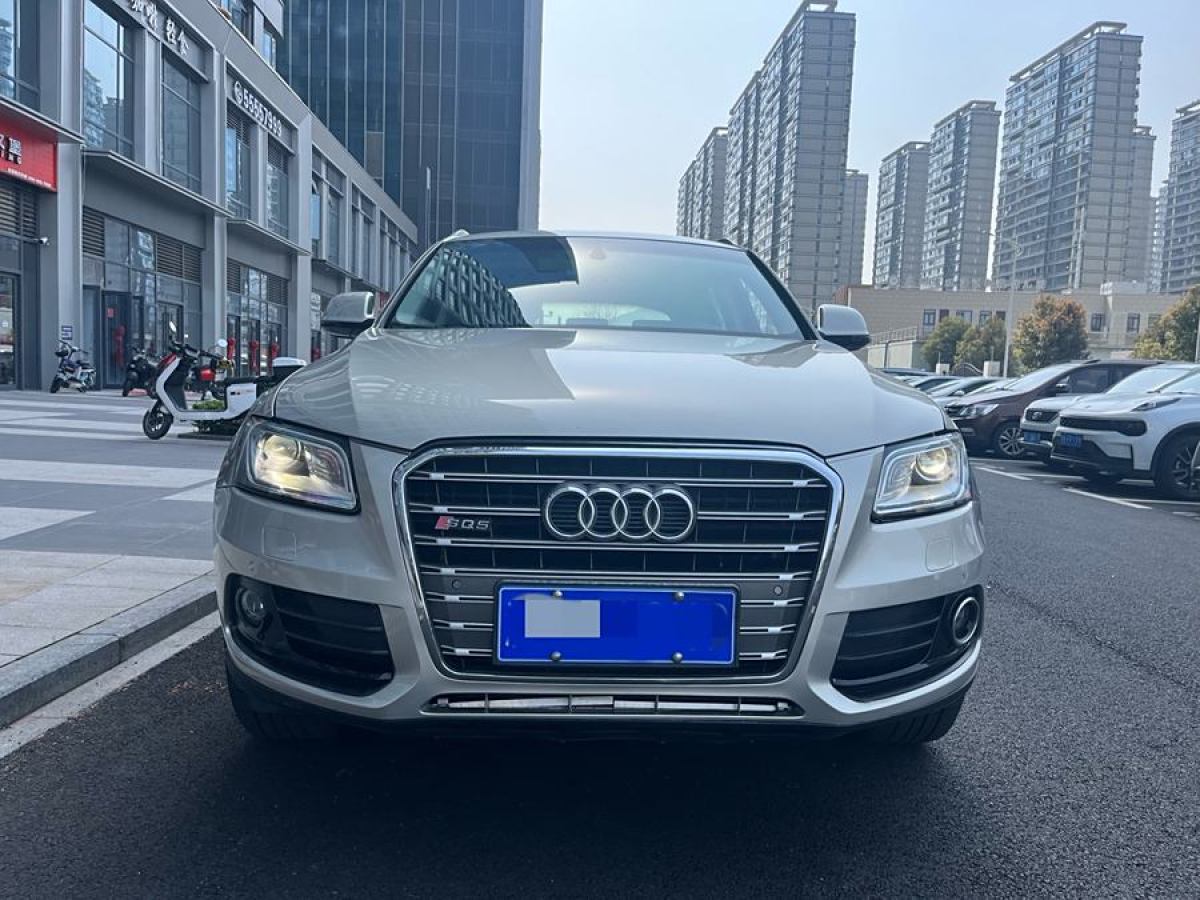 奧迪 奧迪Q5  2017款 40 TFSI 技術(shù)型圖片