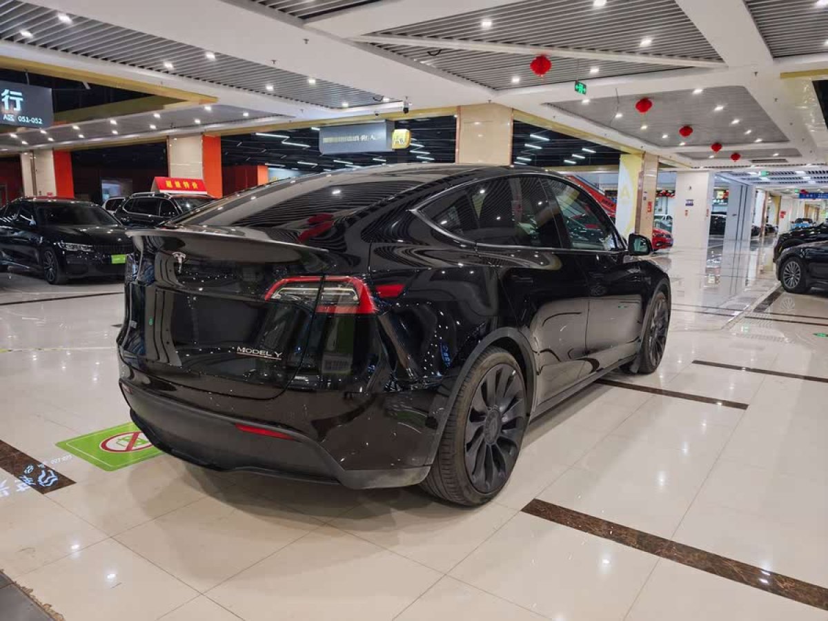 特斯拉 Model Y  2022款 Performance高性能全輪驅(qū)動(dòng)版圖片