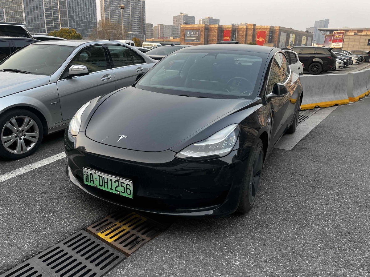 特斯拉 Model 3  2019款 標(biāo)準(zhǔn)續(xù)航后驅(qū)升級版圖片