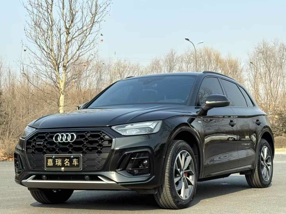 奧迪 奧迪Q5 e-tron  2024款 50 e-tron quattro 光耀型 機(jī)甲套裝圖片