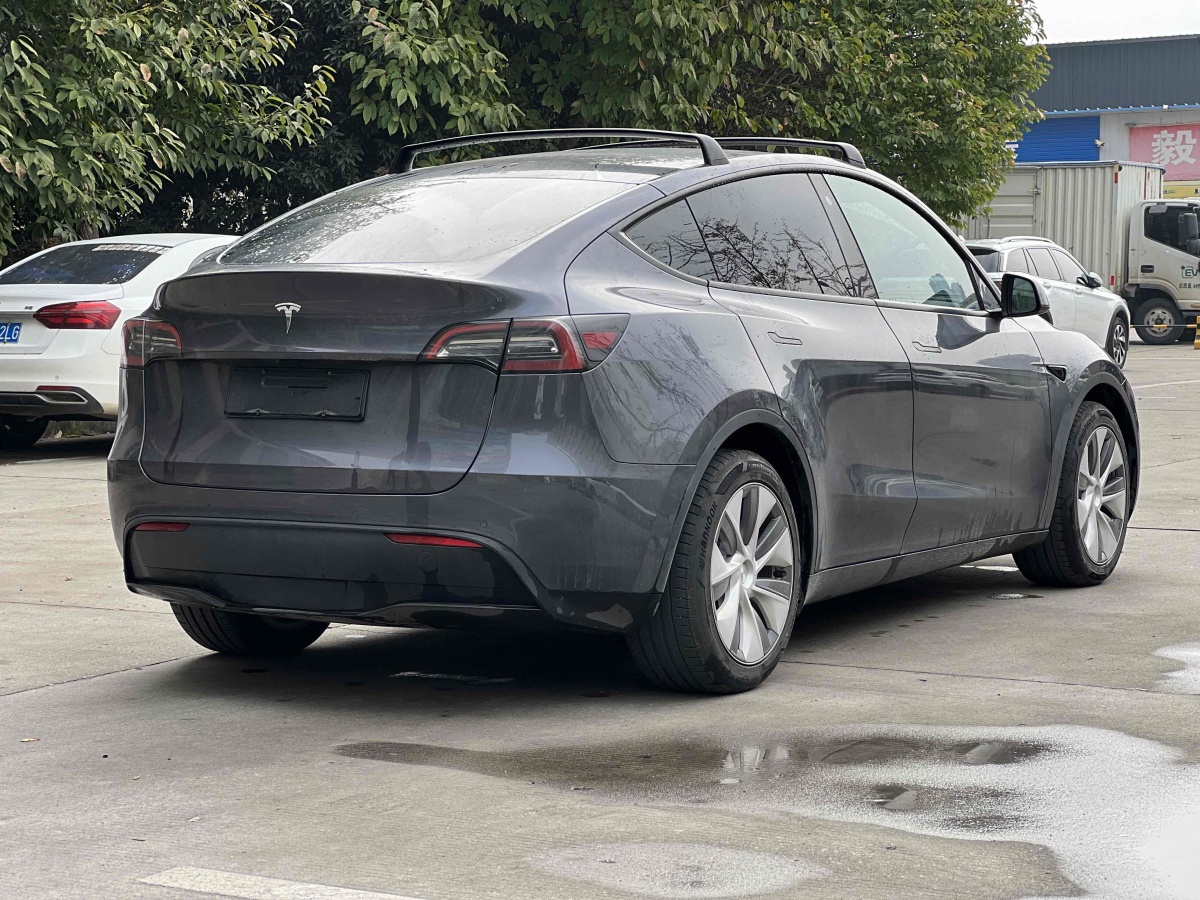 特斯拉 Model Y  2020款 改款 長續(xù)航后輪驅(qū)動版圖片