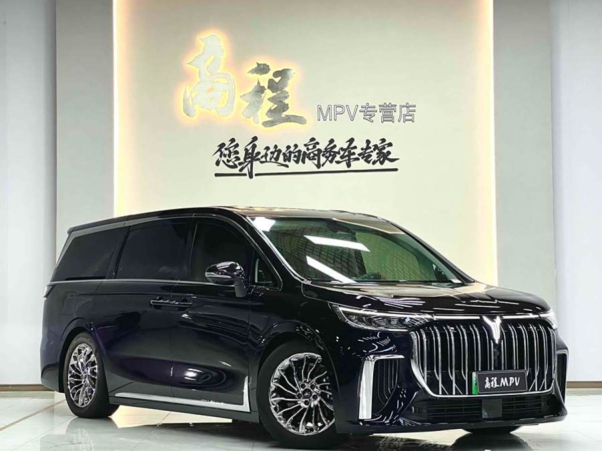 嵐圖 夢想家  2024款 PHEV 超長續(xù)航旗艦版圖片