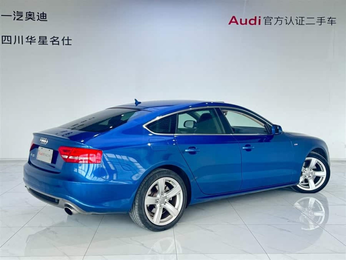 奧迪 奧迪A5  2010款 2.0TFSI Sportback 舒適型圖片