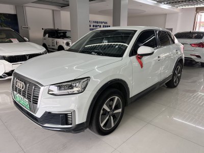 2020年4月 奥迪 Q2L e-tron e-tron 纯电智酷型图片