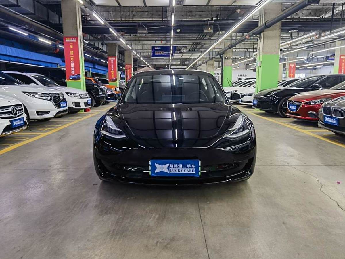 特斯拉 Model 3  2020款 改款 標(biāo)準(zhǔn)續(xù)航后驅(qū)升級(jí)版圖片