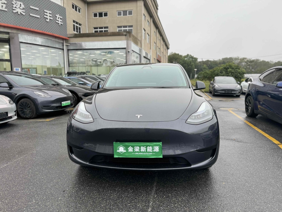 特斯拉 Model Y  2020款 改款 長(zhǎng)續(xù)航后輪驅(qū)動(dòng)版圖片