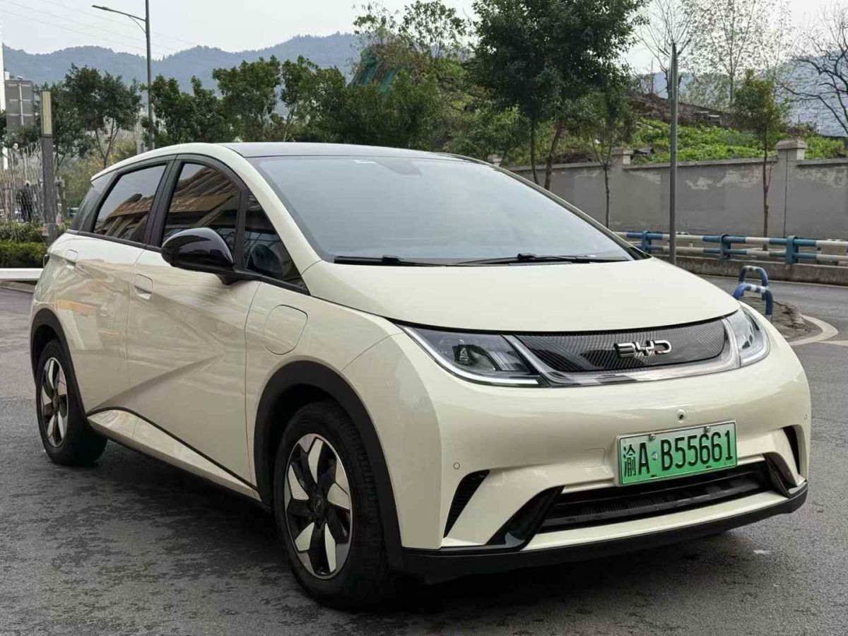 比亞迪 海豚  2024款 榮耀版 302km 活力版圖片