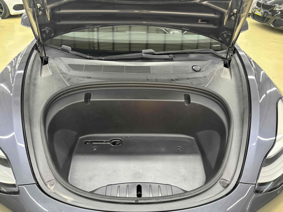 特斯拉 Model 3  2020款 改款 標(biāo)準(zhǔn)續(xù)航后驅(qū)升級(jí)版圖片