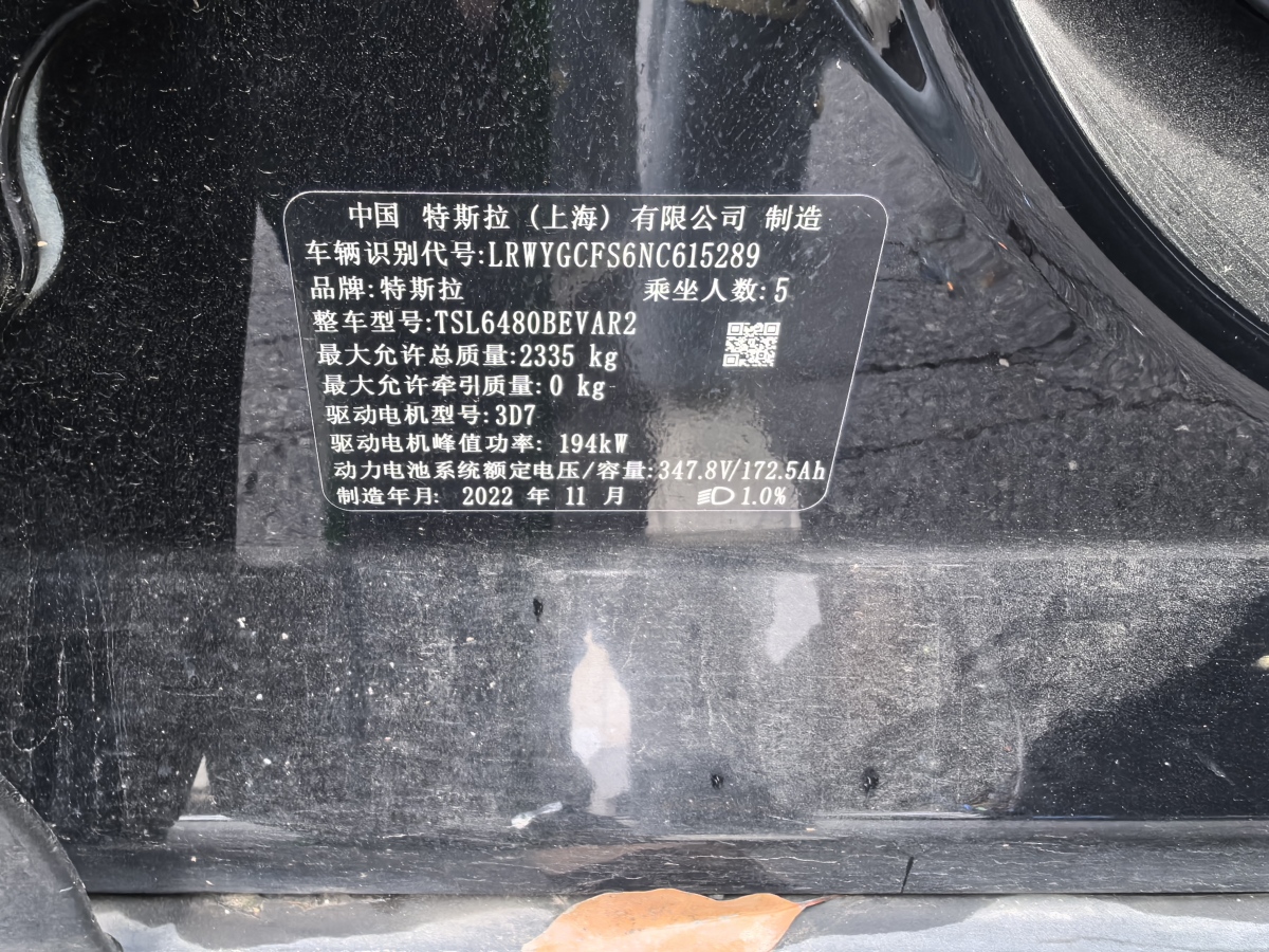 特斯拉 Model Y  2020款 改款 長續(xù)航后輪驅(qū)動(dòng)版圖片