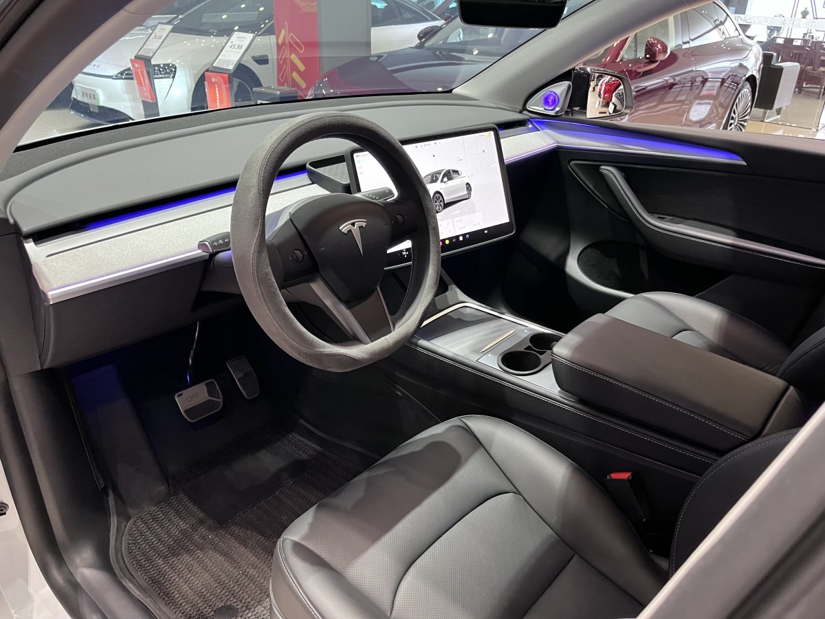 特斯拉 Model Y  2020款 改款 長(zhǎng)續(xù)航后輪驅(qū)動(dòng)版圖片