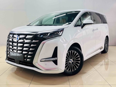 2023年12月 騰勢 騰勢D9 DM-i 1040 尊貴型圖片