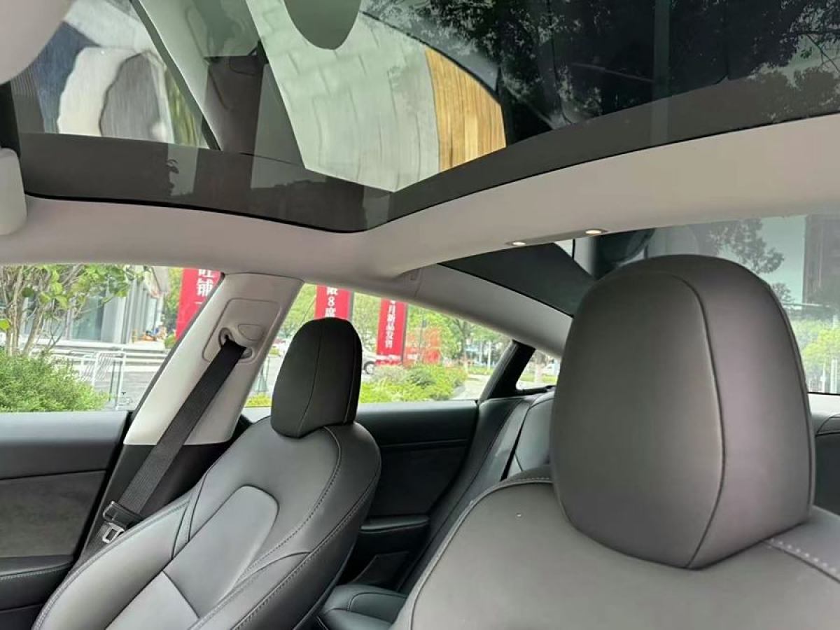 特斯拉 Model 3  2019款 標(biāo)準(zhǔn)續(xù)航后驅(qū)升級(jí)版圖片