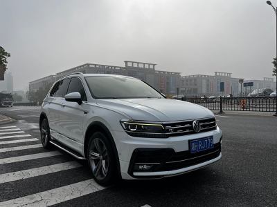 2018年6月 大众 Tiguan(进口) 380TSI 四驱R-Line图片