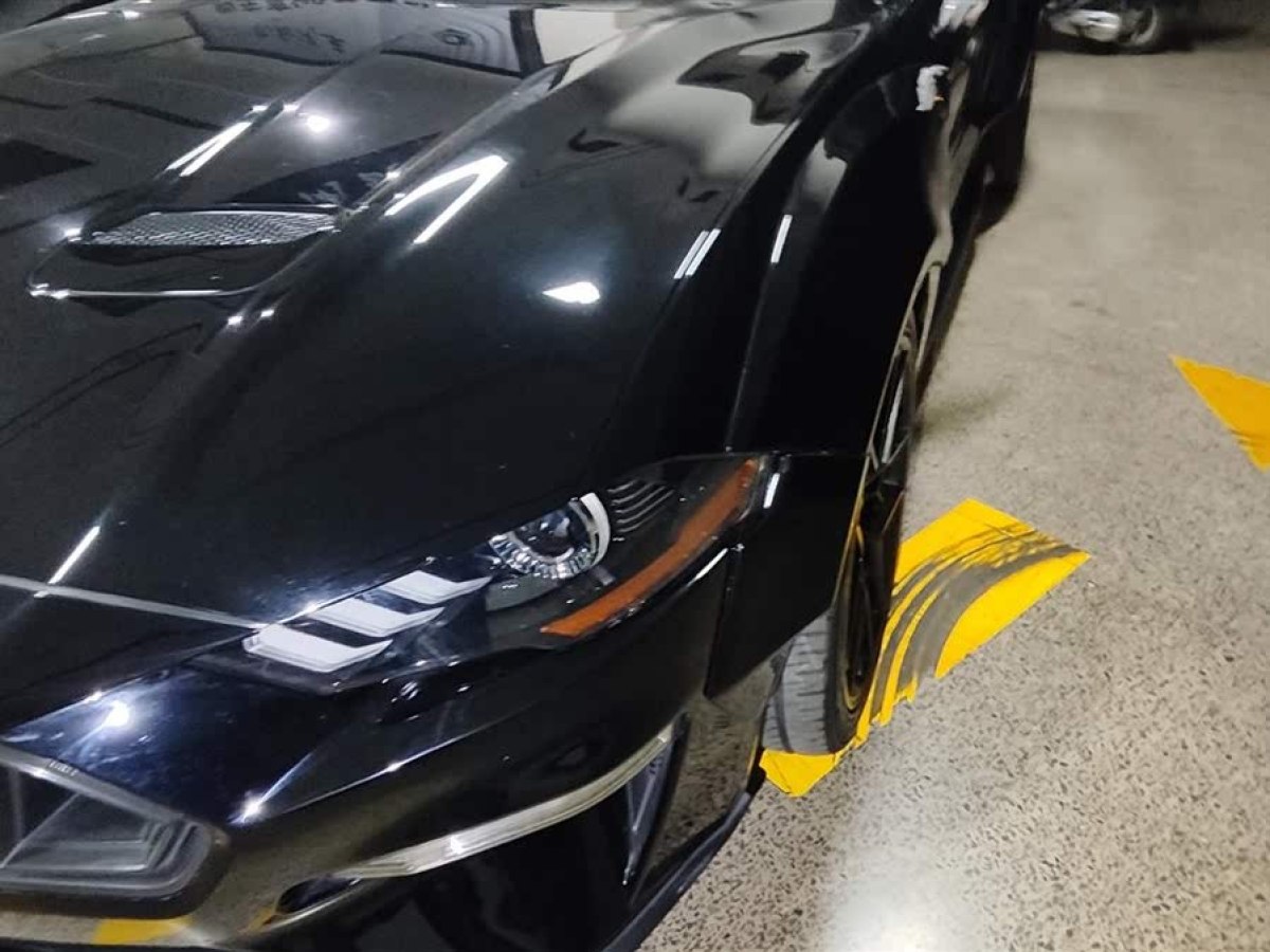 福特 Mustang  2017款 2.3T 性能版圖片