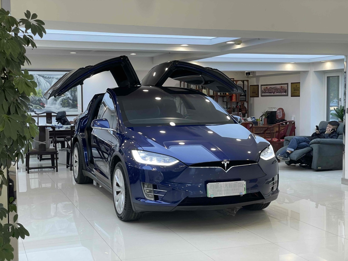 特斯拉 Model X  2016款 Model X 90D圖片