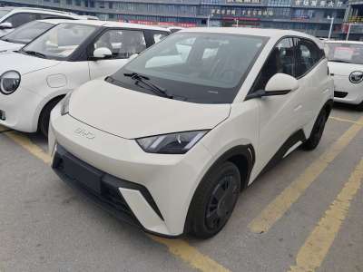 2025年3月 比亞迪 海鷗 305km 活力版圖片