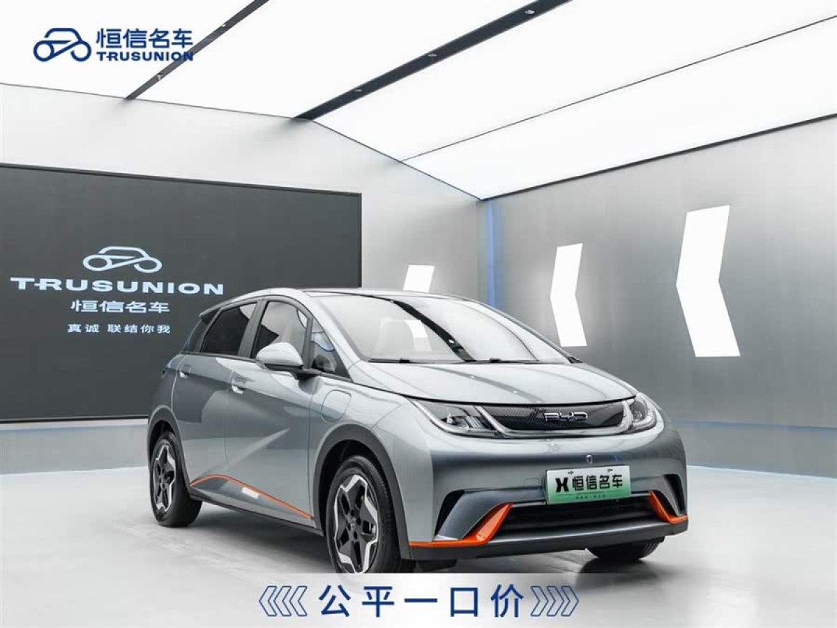 比亞迪 海豚  2021款 405km 時尚版圖片