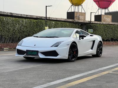 2010年2月 蘭博基尼 Gallardo LP 560-4圖片