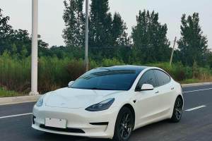 Model 3 特斯拉 標(biāo)準續(xù)航后驅(qū)升級版 3D6