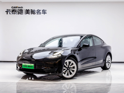 2023年2月  特斯拉 Model 3 2022款 后轮驱动版 图片