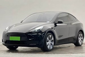 Model Y 特斯拉 改款 后輪驅(qū)動版