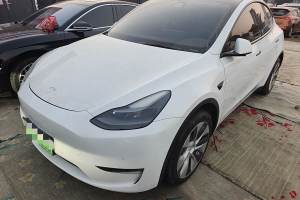 Model Y 特斯拉 改款 長續(xù)航全輪驅動版