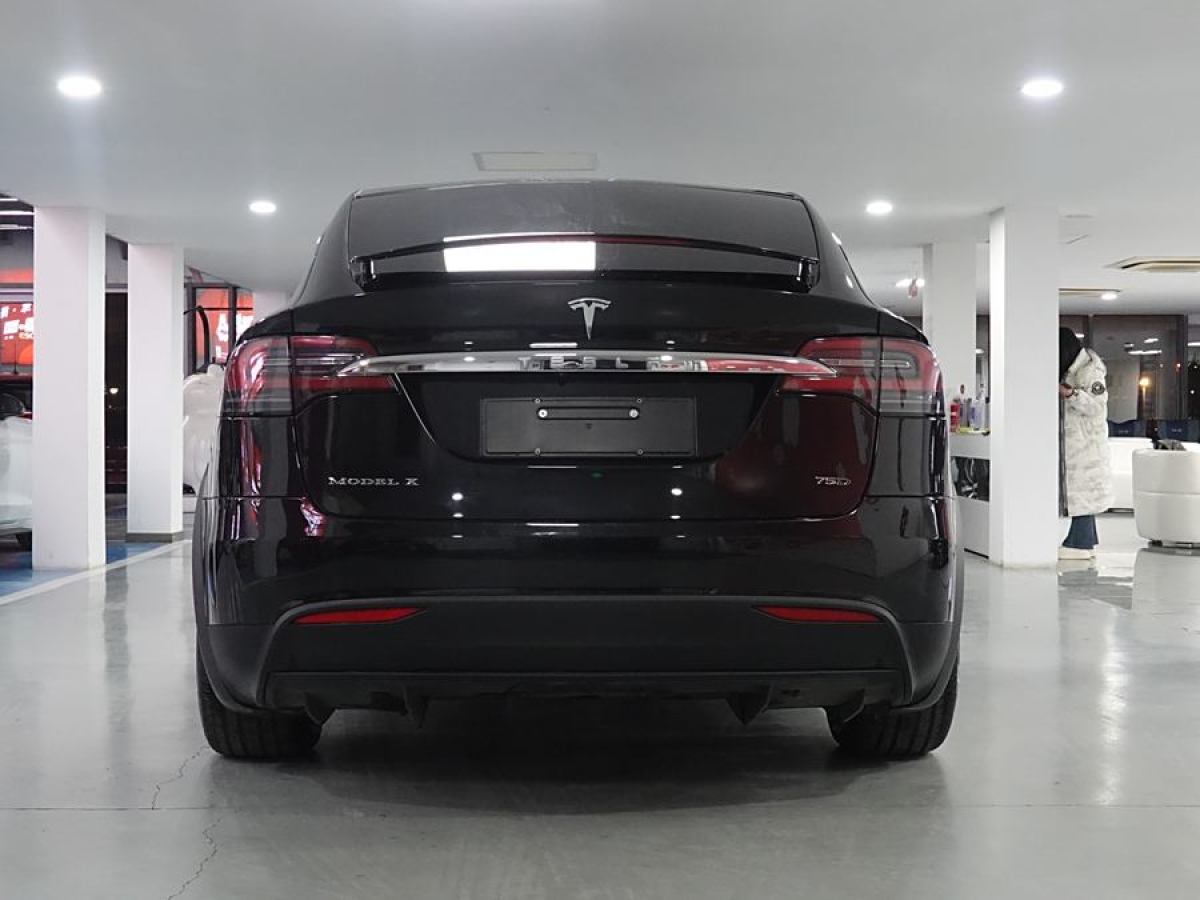 特斯拉 Model X  2016款 Model X 75D圖片