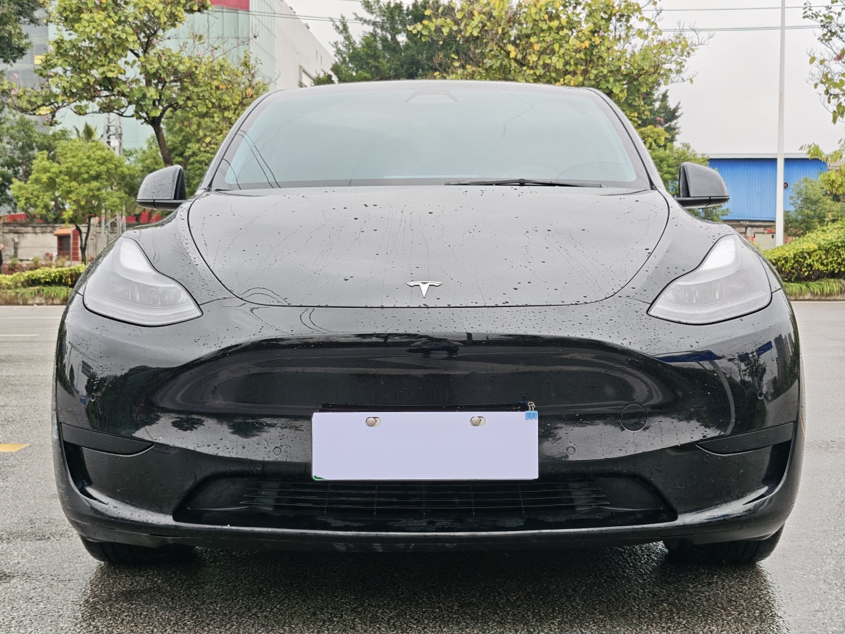 特斯拉 Model 3  2022款 后輪驅(qū)動版圖片