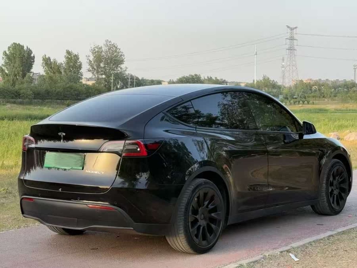 特斯拉 Model Y  2021款 標(biāo)準(zhǔn)續(xù)航后驅(qū)版圖片