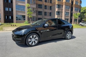 Model Y 特斯拉 標準續(xù)航后驅版