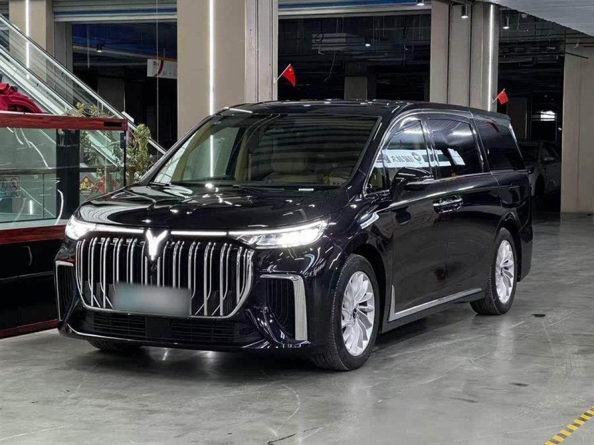 嵐圖 夢(mèng)想家  2024款 PHEV 超長(zhǎng)續(xù)航尊貴版圖片