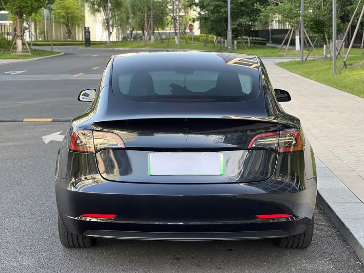 特斯拉 Model 3  2021款 改款 標(biāo)準(zhǔn)續(xù)航后驅(qū)升級(jí)版圖片