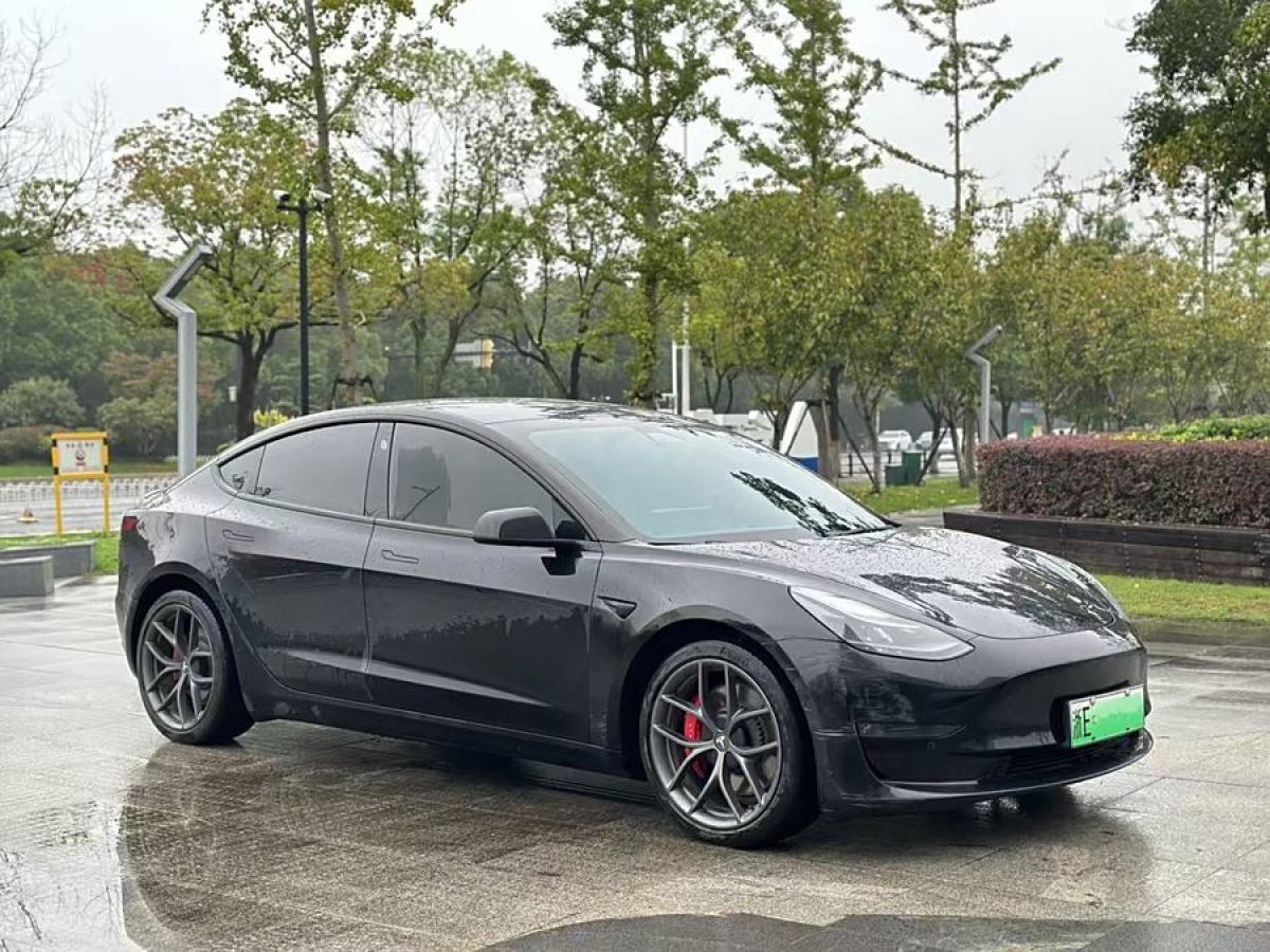 特斯拉 Model 3  2021款 Performance高性能全輪驅(qū)動(dòng)版圖片