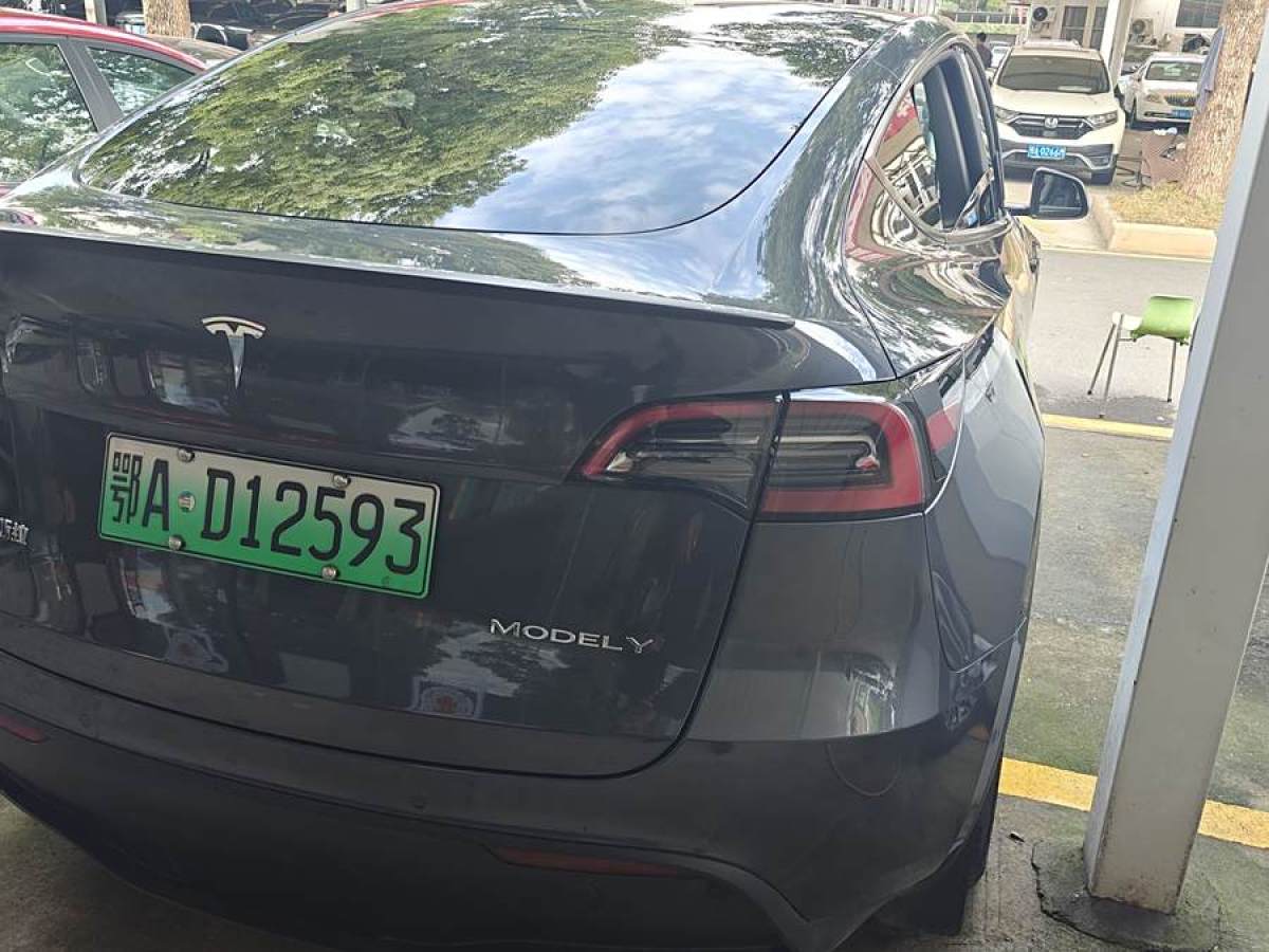 特斯拉 Model 3  2020款 改款 長續(xù)航后輪驅(qū)動(dòng)版圖片