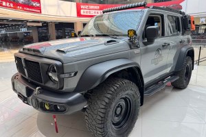 坦克300 坦克 2.0T 風(fēng)林鐵騎