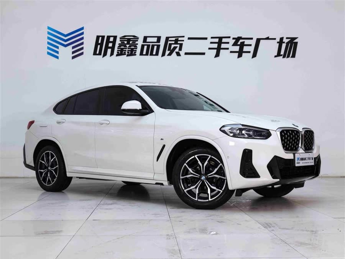 寶馬 寶馬X4  2022款 xDrive 25i M運(yùn)動套裝圖片