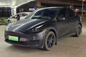 Model Y 特斯拉 Performance高性能版