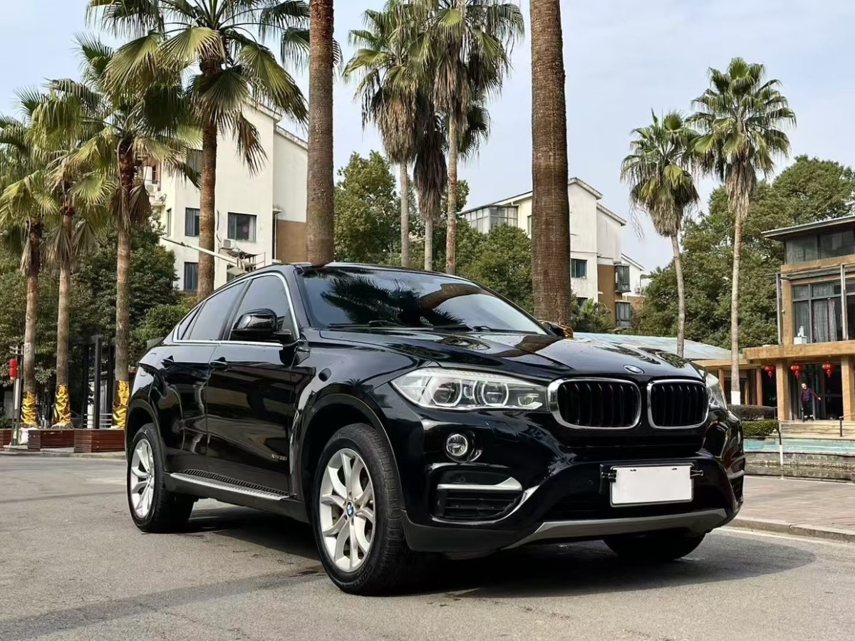 寶馬 寶馬X6  2015款 xDrive35i 領(lǐng)先型圖片