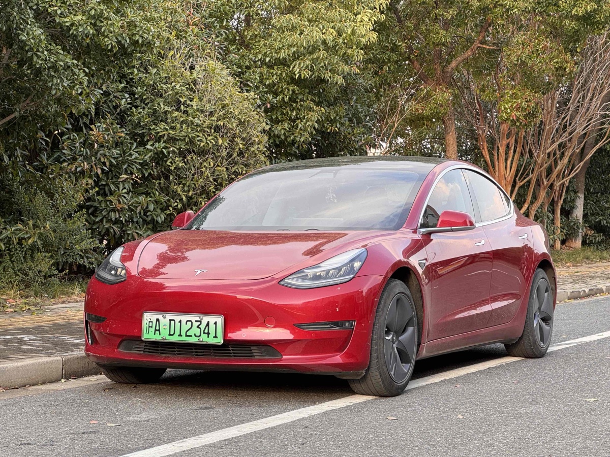 2019年10月特斯拉 Model 3  2019款 長(zhǎng)續(xù)航后驅(qū)版