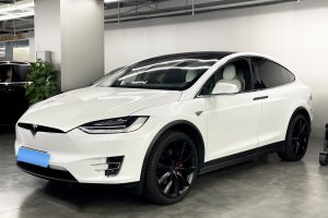 Model X 特斯拉 Model X P90D