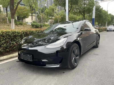 2020年5月 特斯拉 Model 3 標準續(xù)航后驅升級版圖片