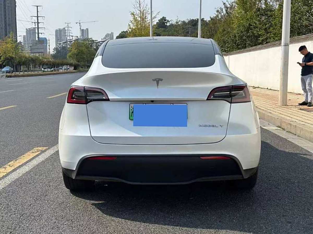 特斯拉 Model Y  2020款 改款 長(zhǎng)續(xù)航后輪驅(qū)動(dòng)版圖片