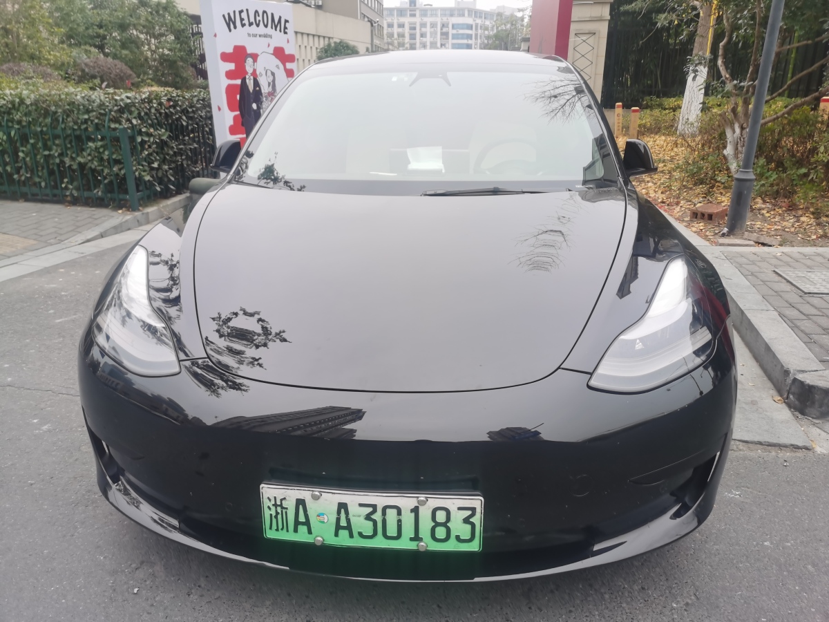 特斯拉 Model 3  2022款 后輪驅(qū)動版圖片